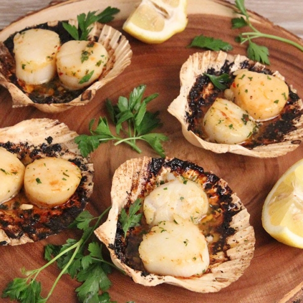 Grilled Scallops On the Half Shell