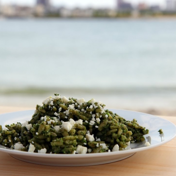 Orzo with Spinach Pesto